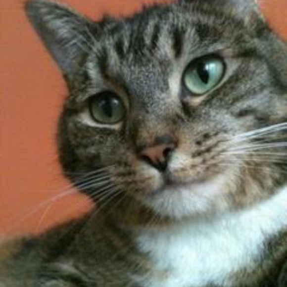 Meet your Posher, Gia - Picture 1 of 1